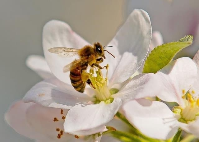 Remise = 5 € pour un montant >= 90 €
Remise = 10 € pour un montant >= 160 €
Franco de port pour toute commande >= 200 €